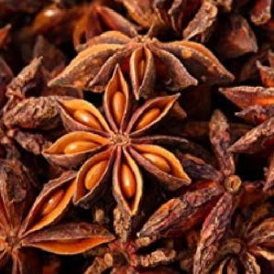 ANISE
